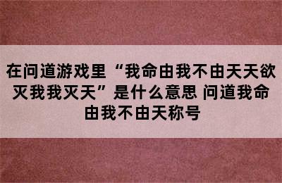 在问道游戏里“我命由我不由天天欲灭我我灭天”是什么意思 问道我命由我不由天称号